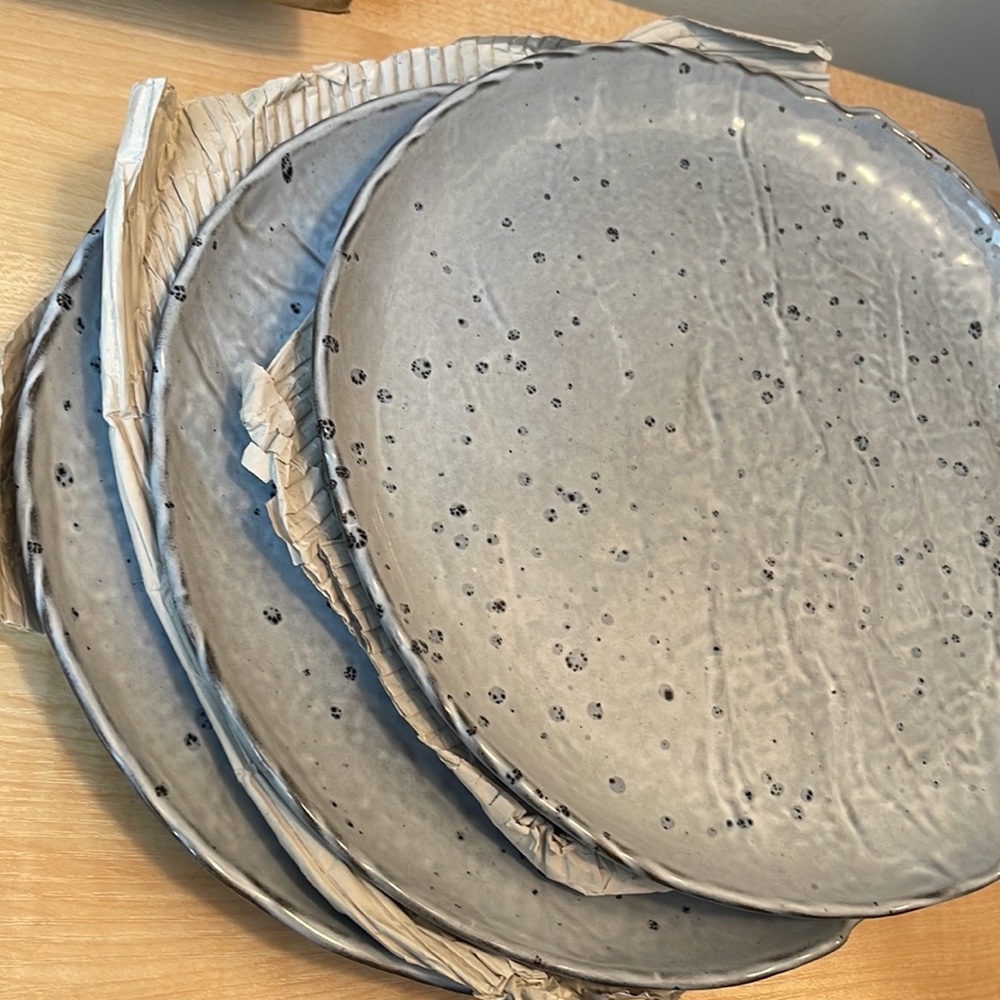 Fortessa Aether Coupe Hazy Blue Fortalux 10" Dinner Plate - Set of 3